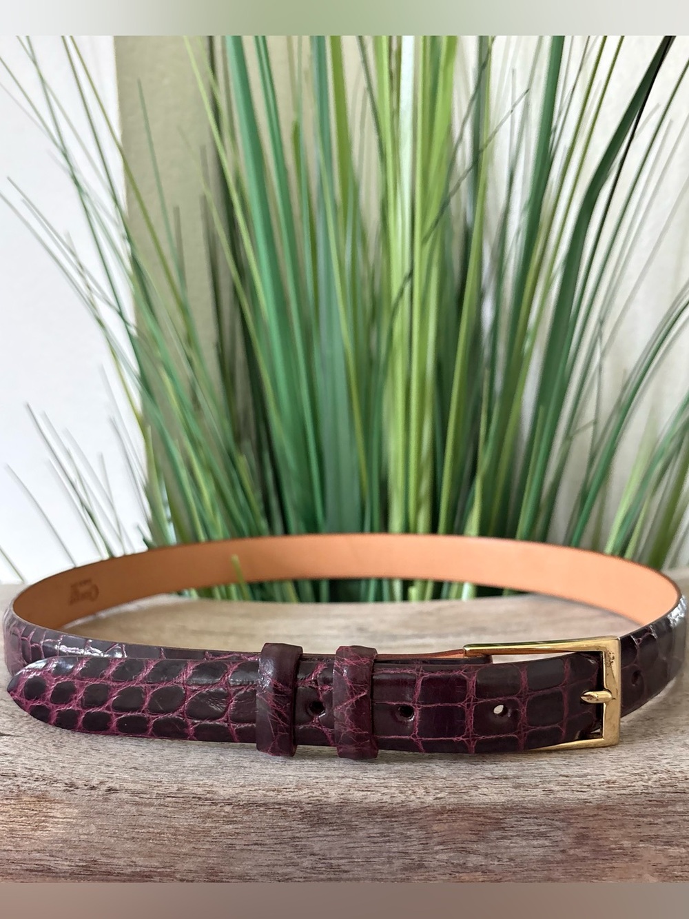 Crescent Wild Alligator Leather Belt with Gold Buckle